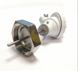 Pt100 với RJT Phù hợp cho các ứng dụng vệ sinh