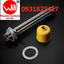 điện trở húng heater nhúng