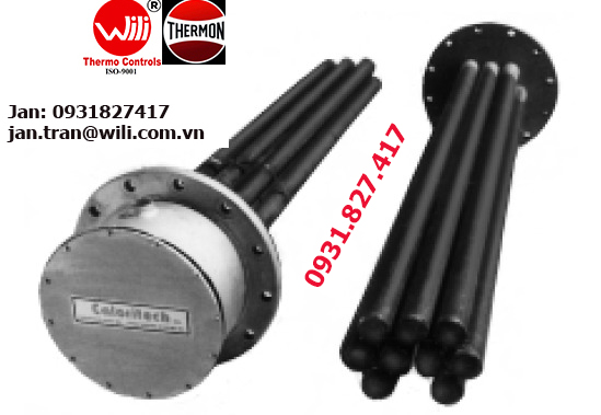 1. Máy sưởi vít CXI20256-01, Screwplug Heaters CXI20256-01 Screwplug Heaters CXI20256-01 FLANGED HEATER (CXC,CXI)